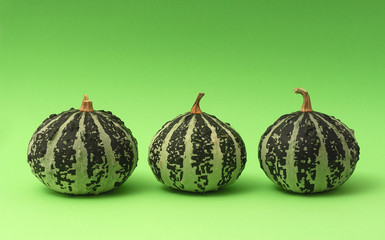 three pumpkins on green background