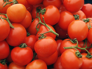 tomatoes background
