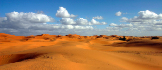 Fototapeta na wymiar sahara - Maroc