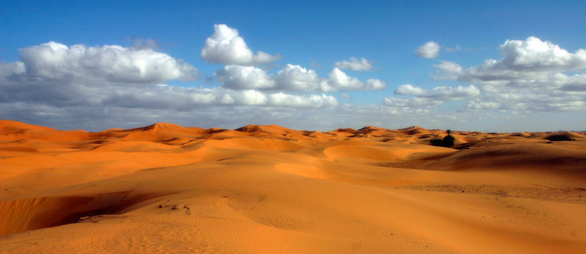 4 272 Best Sahara Maroc Images Stock Photos Vectors Adobe Stock