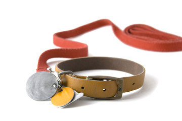 Obraz premium collar with tags