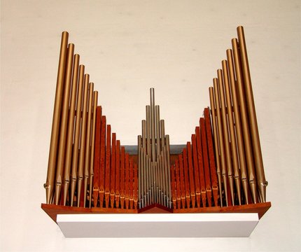 organ