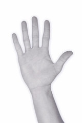 hand nr. 5 in blue