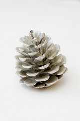 pine cone