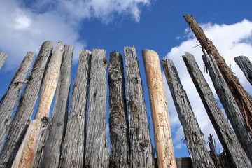 wooden fence background