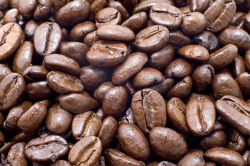 coffee beans close up