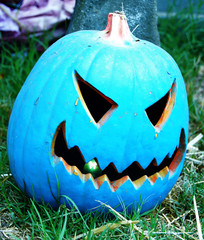 blue jack-o-lantern