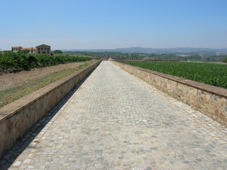 camino recto