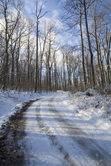 snowy road