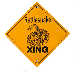 snake warning sign in desert