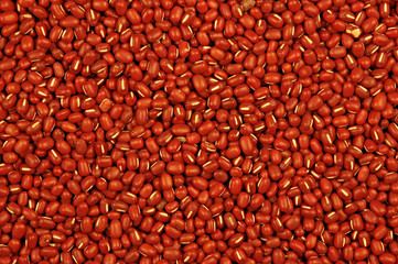 red beans that make a great background