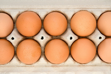 eggs