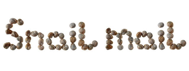 snail mail, written with snail shells.