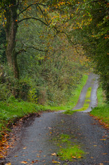 irish country road