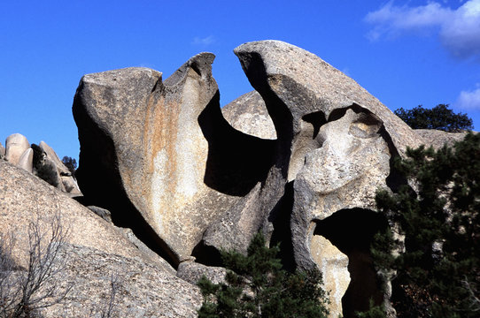 granito di gallura