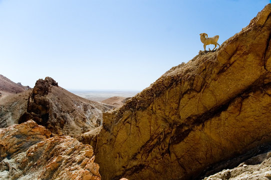 rocky landscape - tunisia
