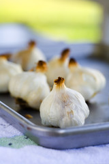 garlic, roasted garlic