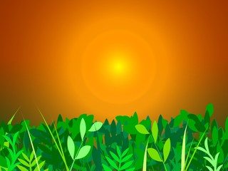 Obraz premium sonnenuntergang über der wiese