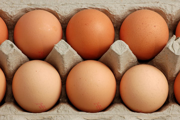 eier in der packung