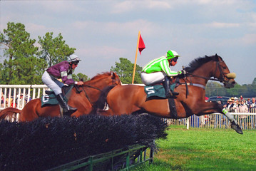 steeplechase