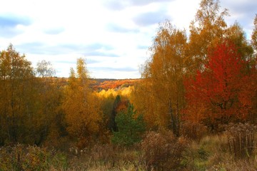 Fototapeta premium autumn landscape