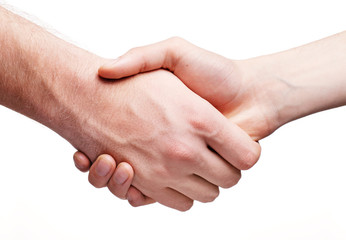 business hand shake