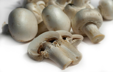 bunch of fresh mushroom