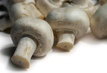 bunch of fresh mushroom