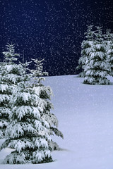 winter snow