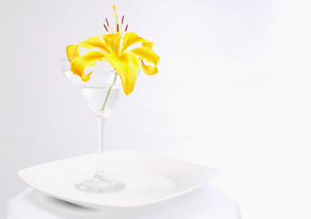 yellow lily in glass
