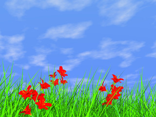 fresh green grass on blue sky background