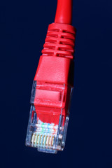 network connection