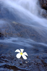 serenity