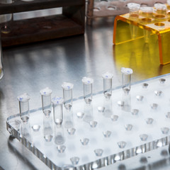 microbiology science