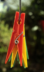 clothes pegs