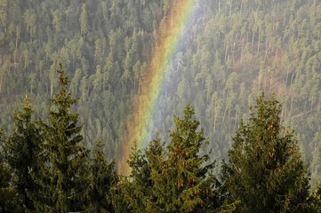 arc en ciel