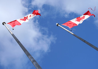 canadian flags
