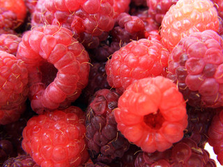 Natürliche Bio Himbeeren