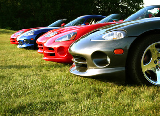 vipers are ready for racing