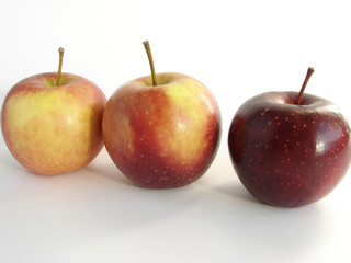 apples 1