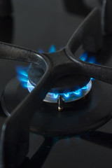  kitchen burner