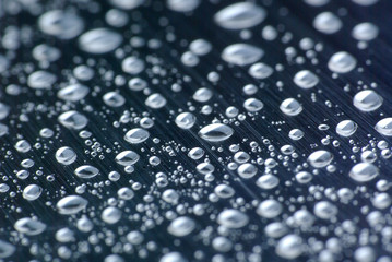 silver water drops