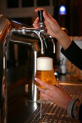bier