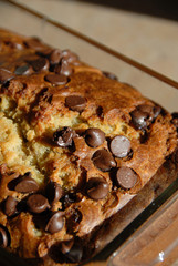 macro of food
