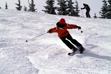 skier