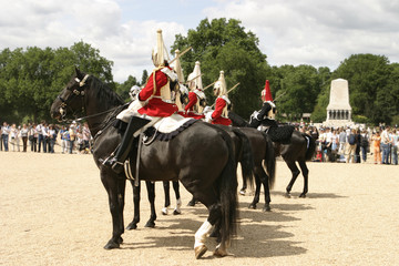 royal cavalry on parade - obrazy, fototapety, plakaty