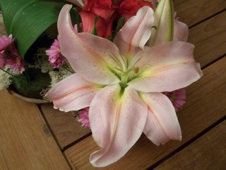 lys