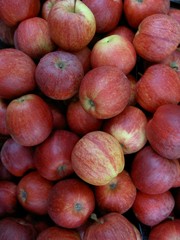 pommes à couteau