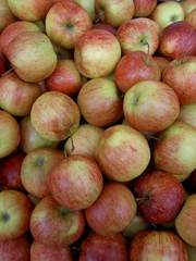 pommes