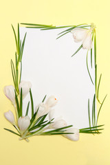 Fototapeta na wymiar spring flowers frame